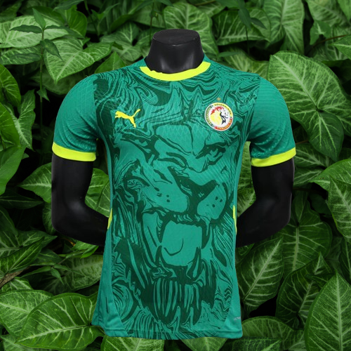 Maillot Sénégal 24/25