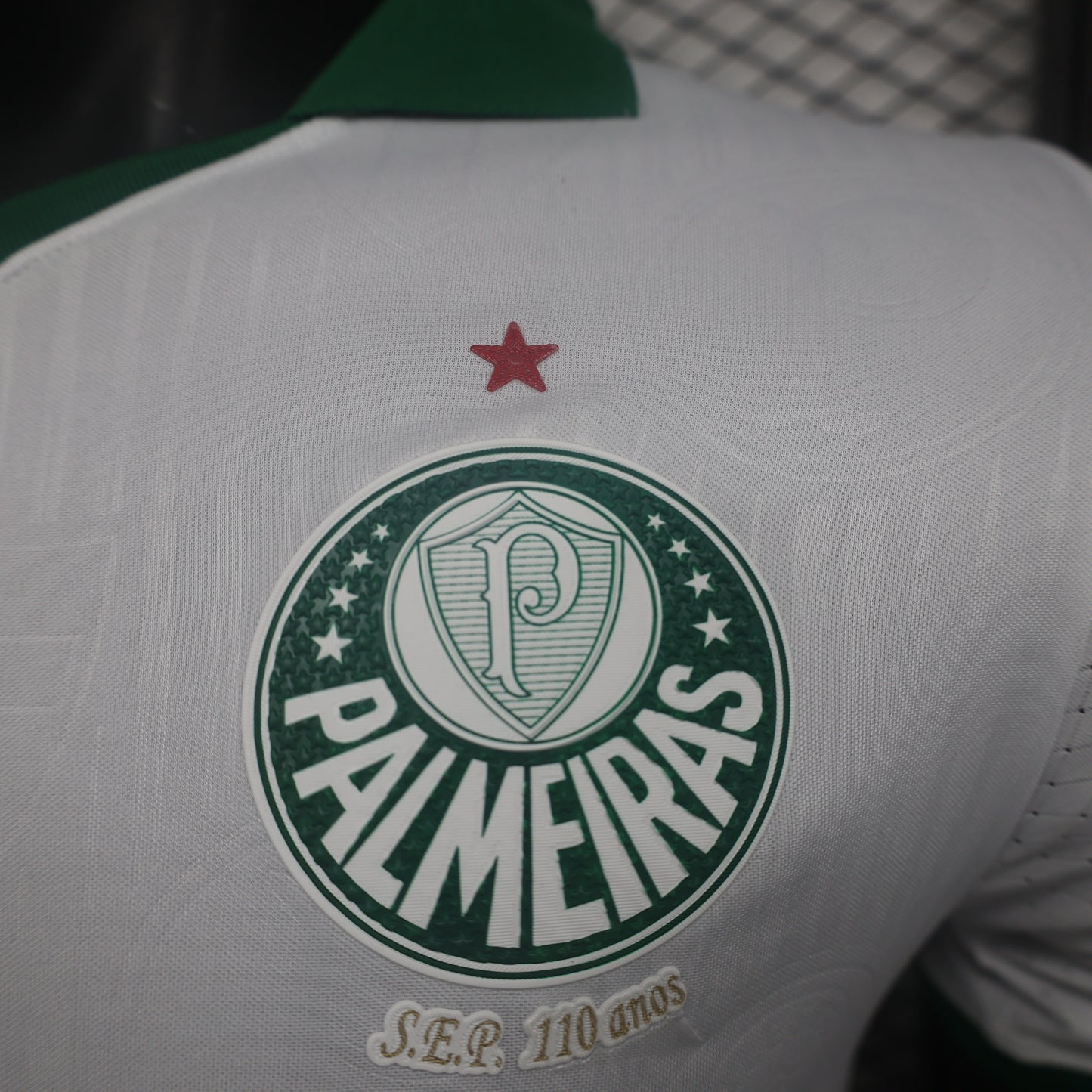 Maillot Palmeiras 24/25
