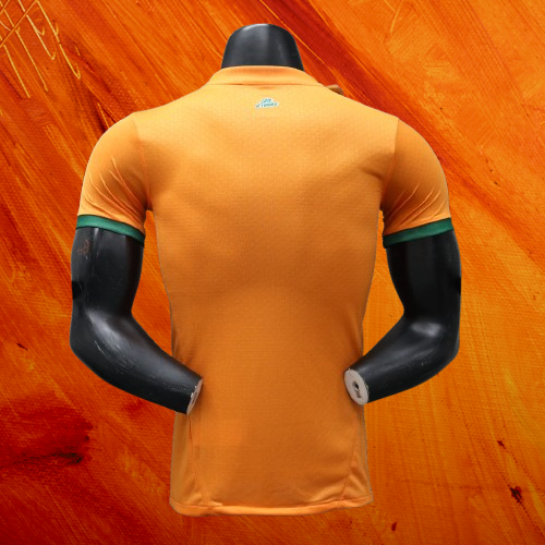 Maillot  Cote d'ivoire 24/25