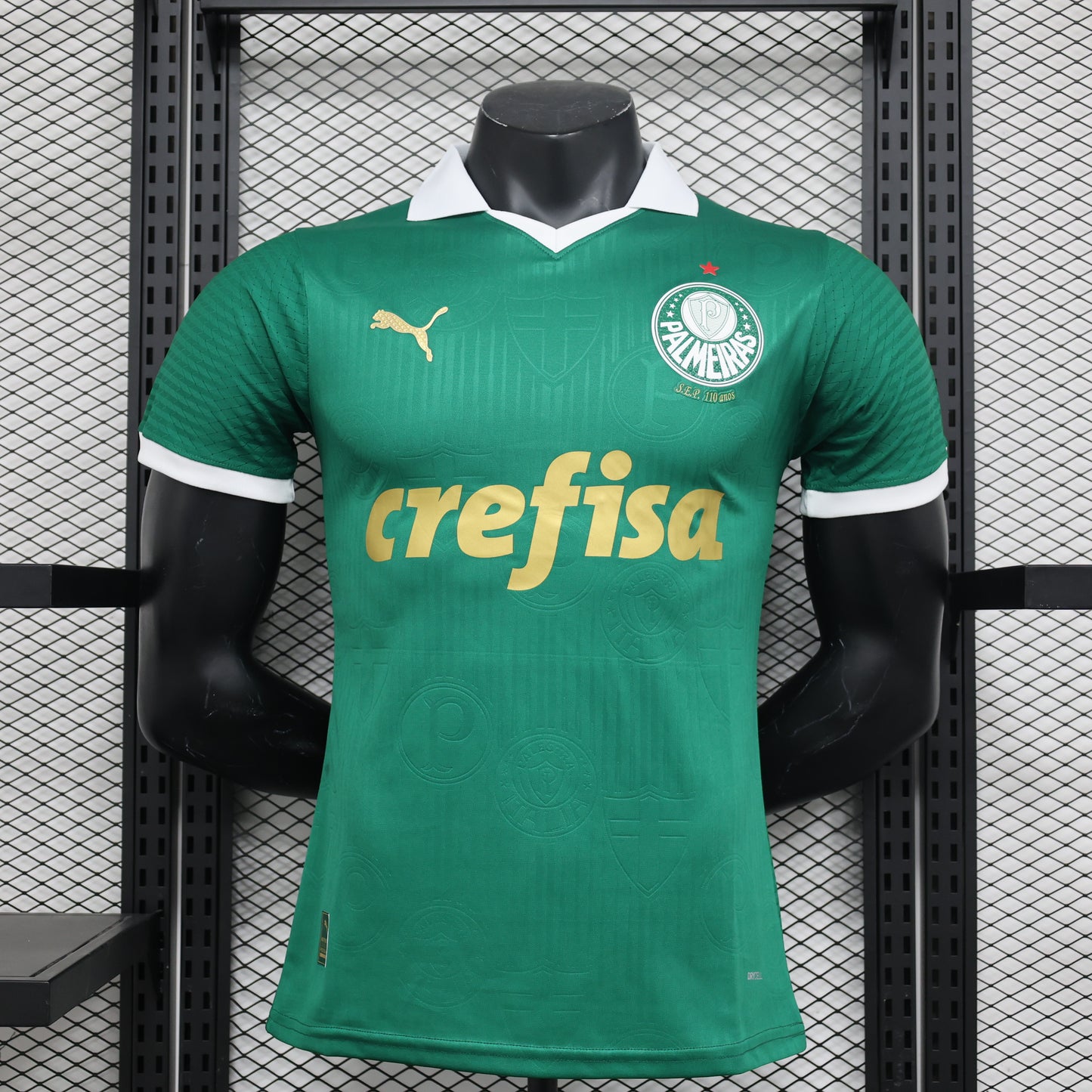 Maillot Palmeiras 24/25