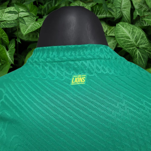 Maillot Sénégal 24/25