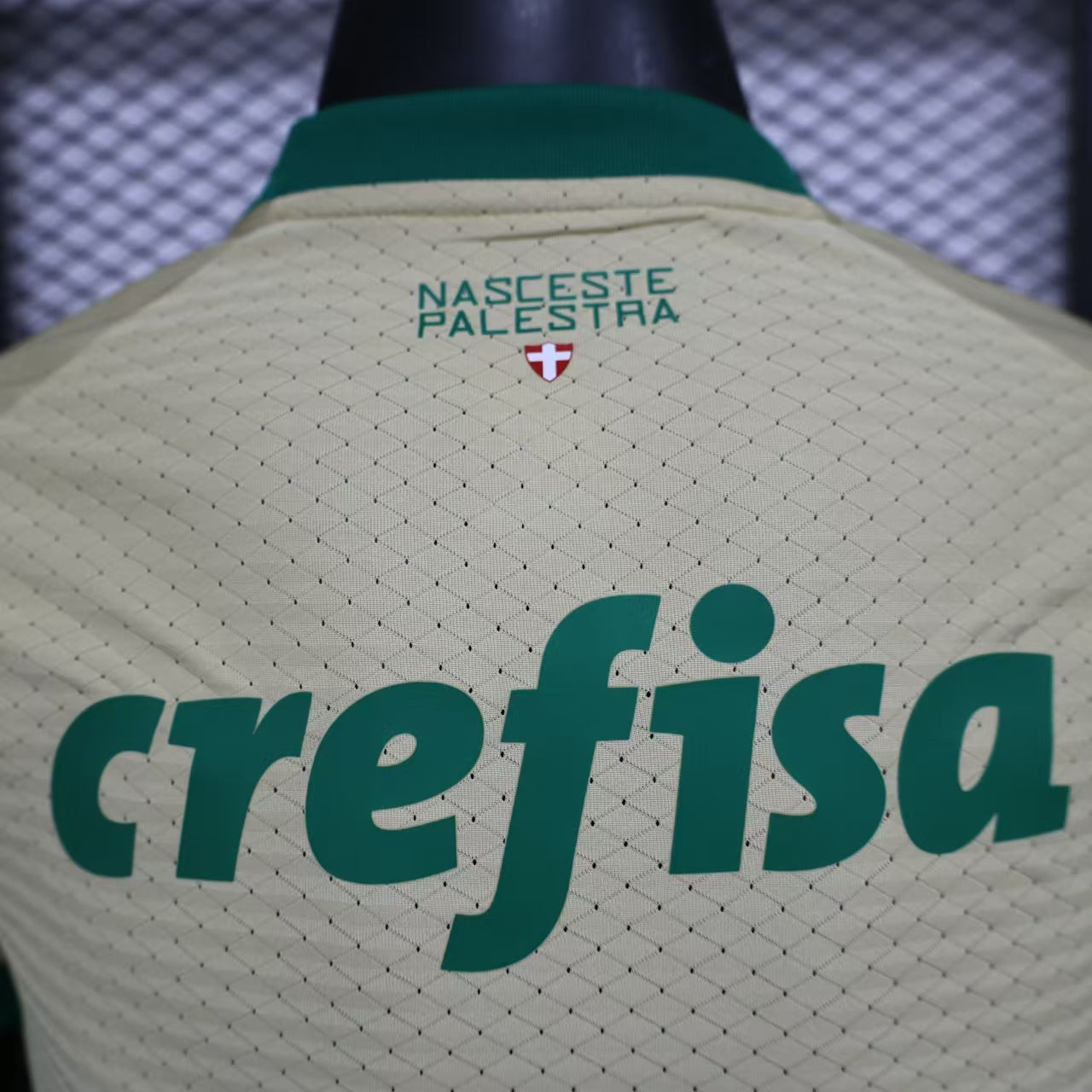 3e Maillot Palmeiras 24/25