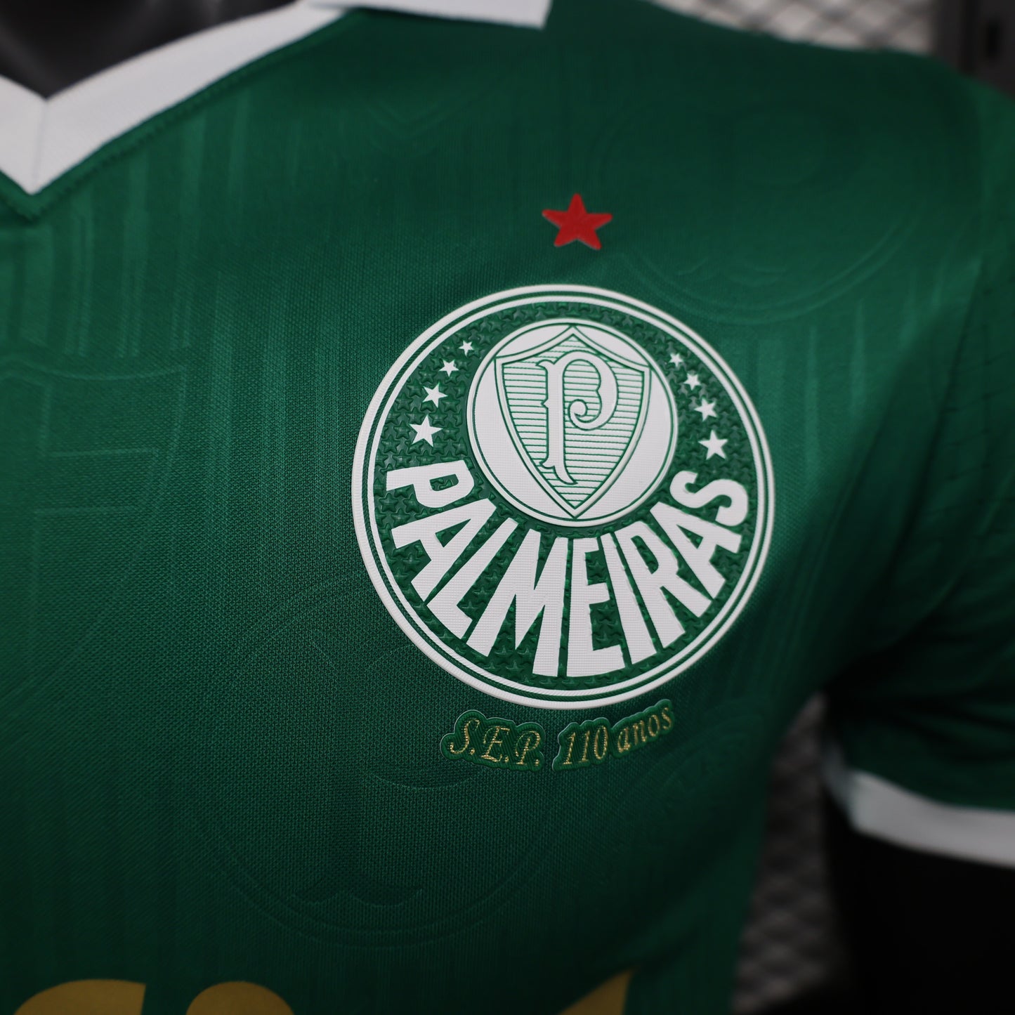Maillot Palmeiras 24/25