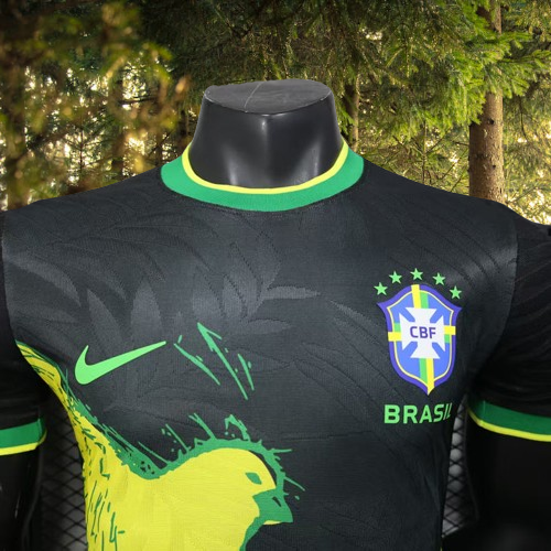 Maillot Brésil concept