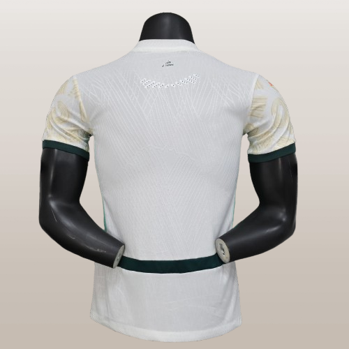 maillot  extérieur  cote d'ivoire 24/25