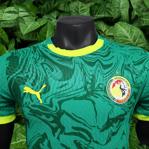 Maillot Sénégal 24/25