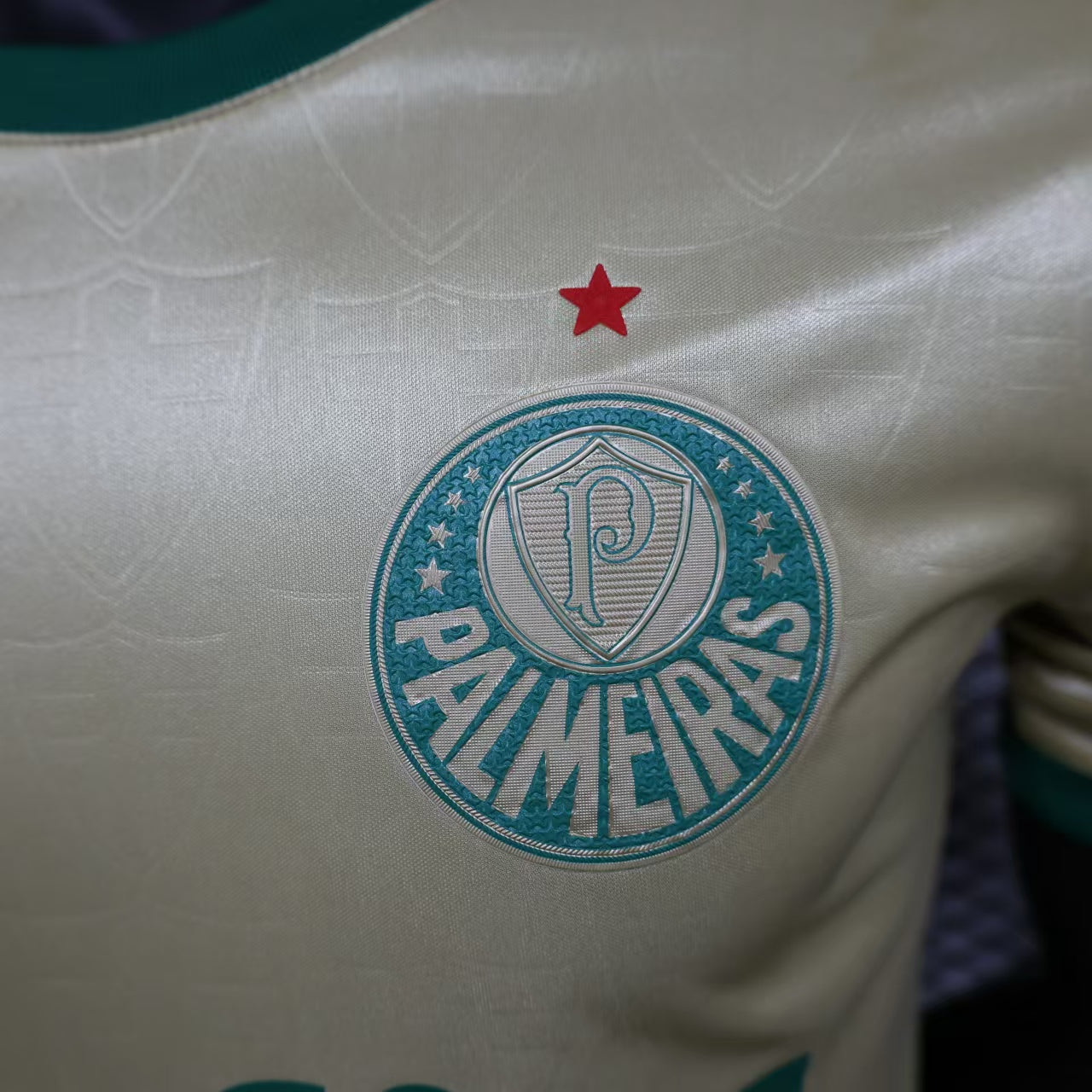 3e Maillot Palmeiras 24/25
