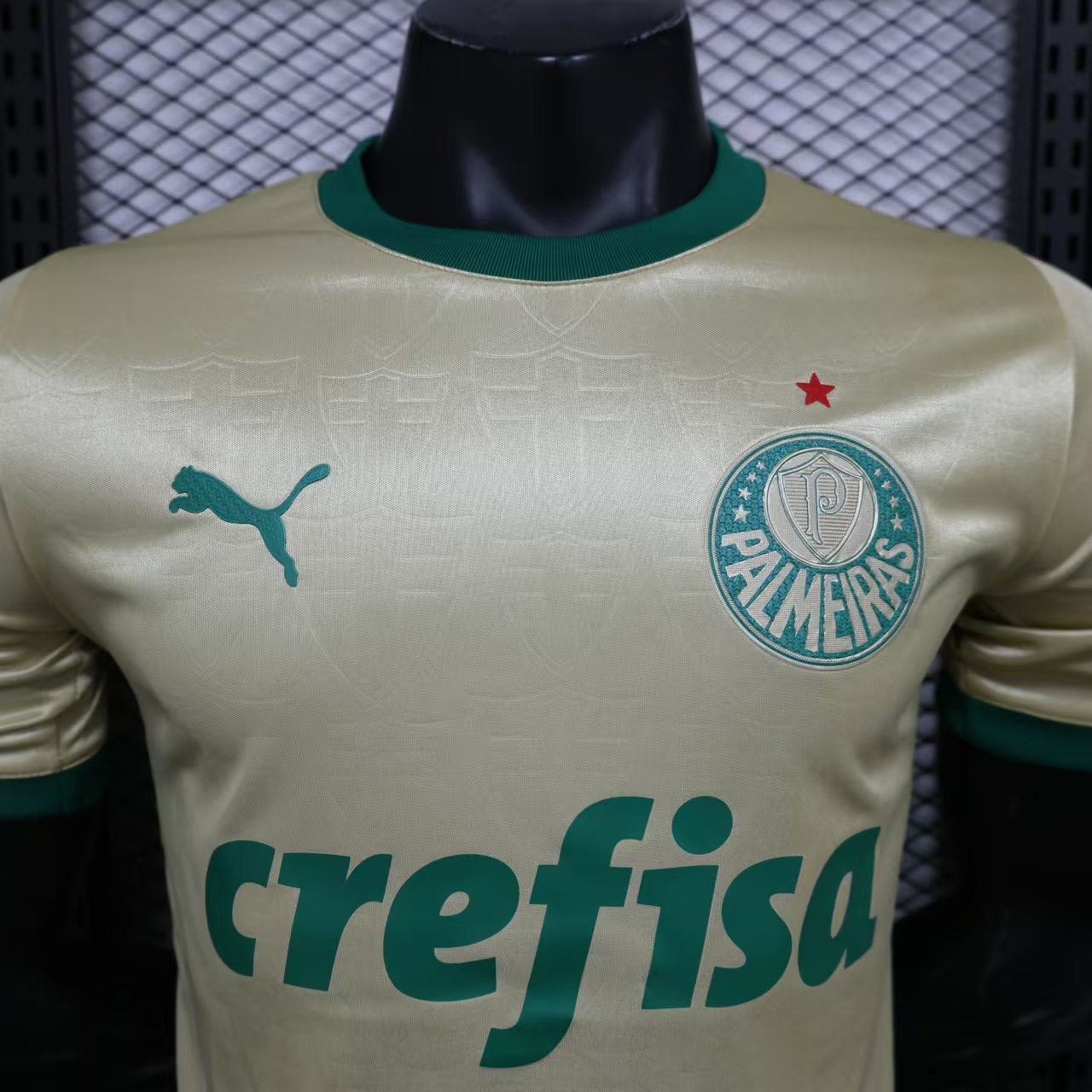 3e Maillot Palmeiras 24/25