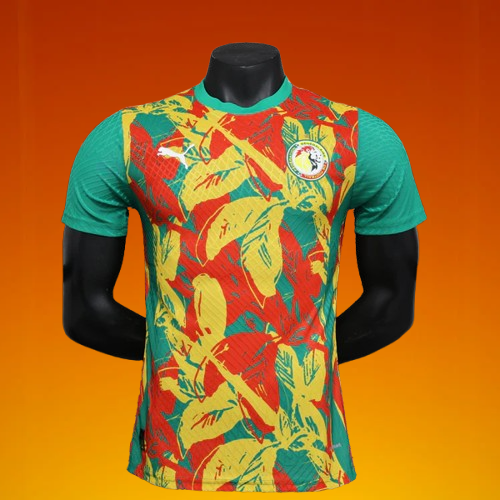 Maillot Sénégal 24/25