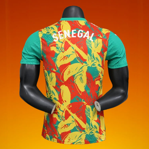 Maillot Sénégal 24/25