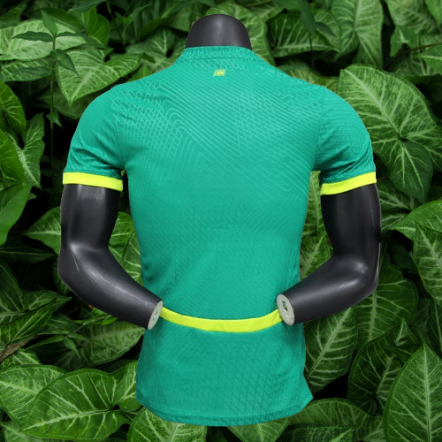 Maillot Sénégal 24/25