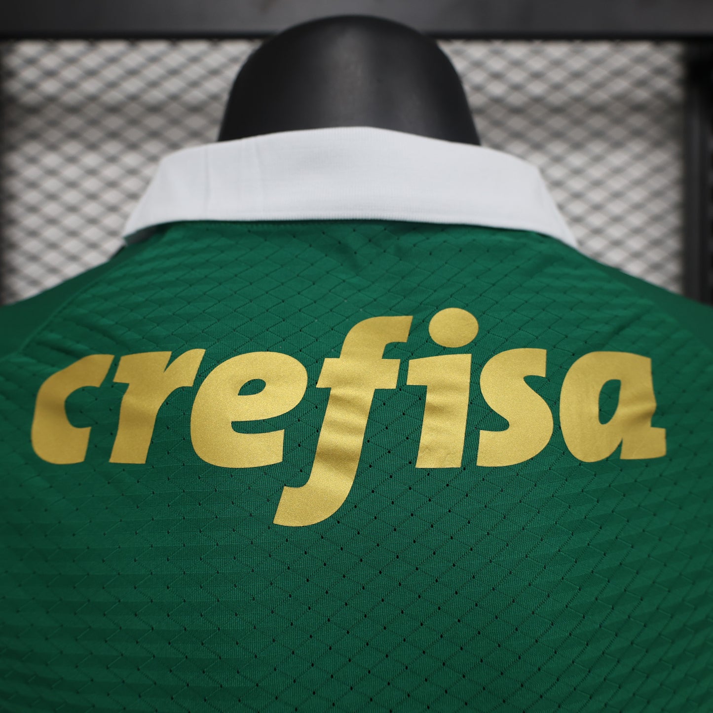 Maillot Palmeiras 24/25