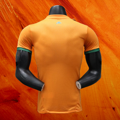 Maillot  Cote d'ivoire 24/25