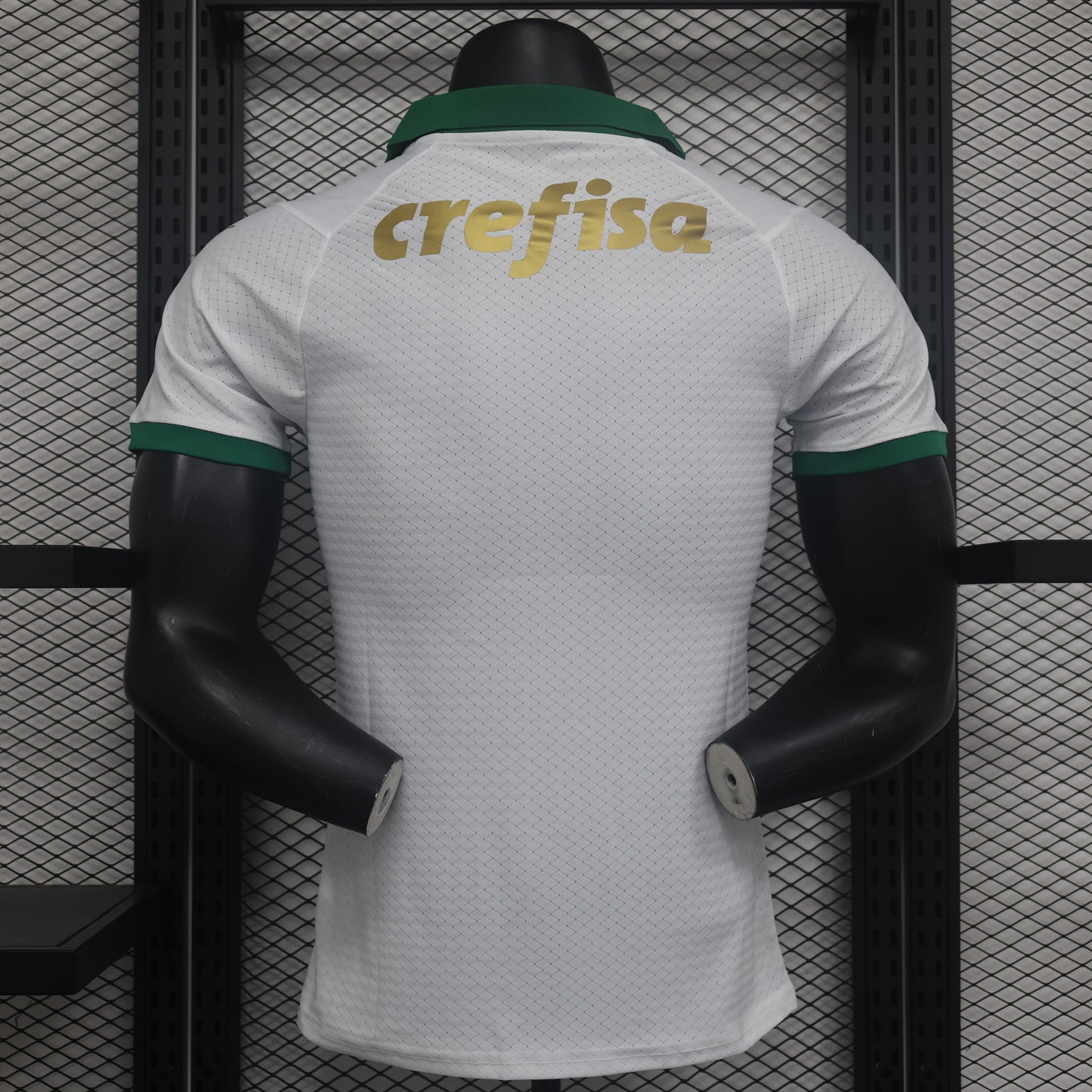 Maillot Palmeiras 24/25