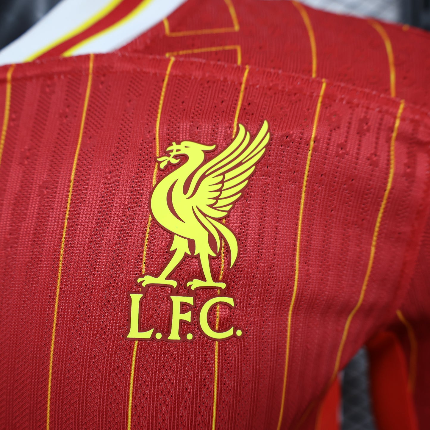 Maillot Liverpool Manche longues 24/25
